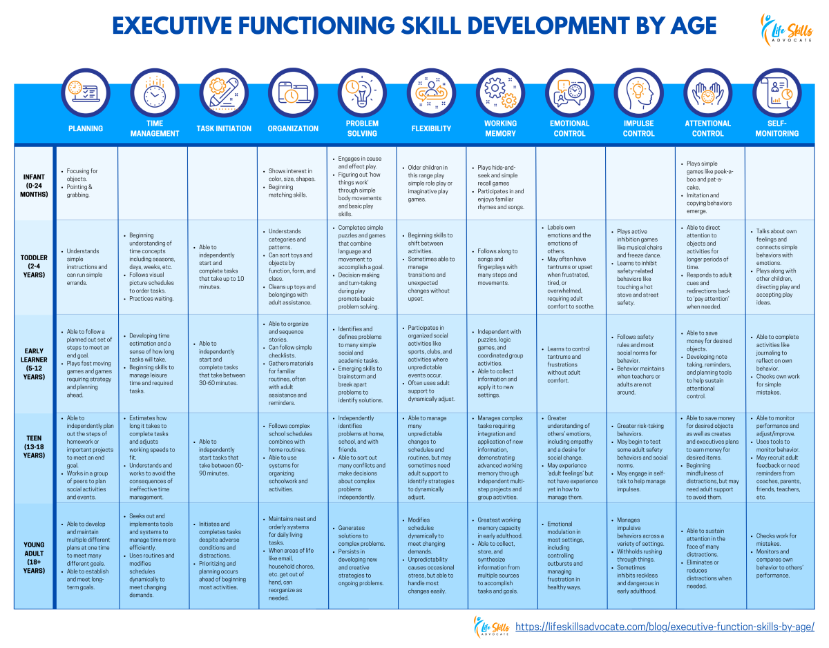 Infographic titled “Executive Functioning Skill Development by Age,” showing 11 executive functioning categories with developmental milestones from infancy through young adulthood